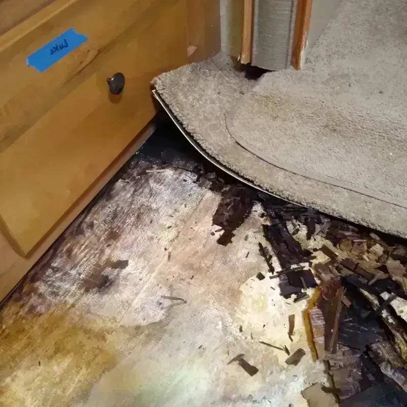 Wood Floor Water Damage in Elkridge, MD